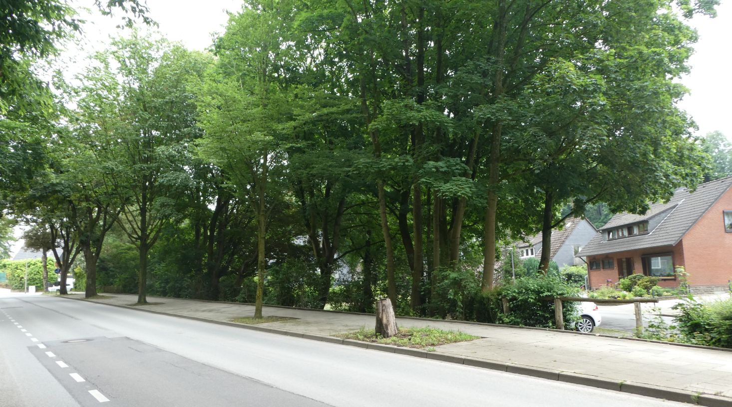 Gruenflaeche Rixdorfstrasse von Westen